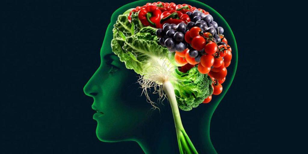Alimentazione per il cervello come migliorare la memoria Alimentazione per il cervello come migliorare la memoria
