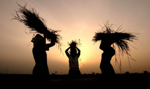 Il lavoro di Khalil Gibran dal suo libro - poema "Il Profeta"