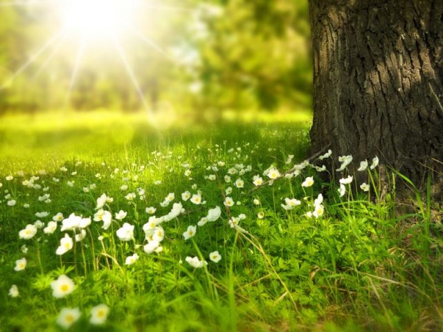 Equinozio di primavera: cosa accade siritualmente ed emotivamente?