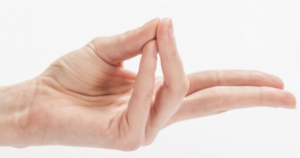 3. Prana Mudra (Forza vitale o Mudra della felicità)