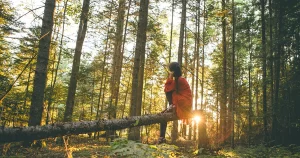 Costruire la resilienza con i cinque elementi e ripristinare la fiducia in noi attraverso tutti i cambiamenti che la vita ci propone.