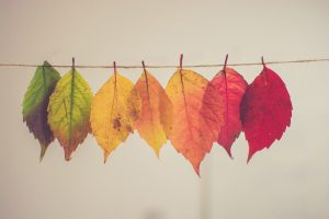 Pratiche per l'autunno: come amplificarne i benefici