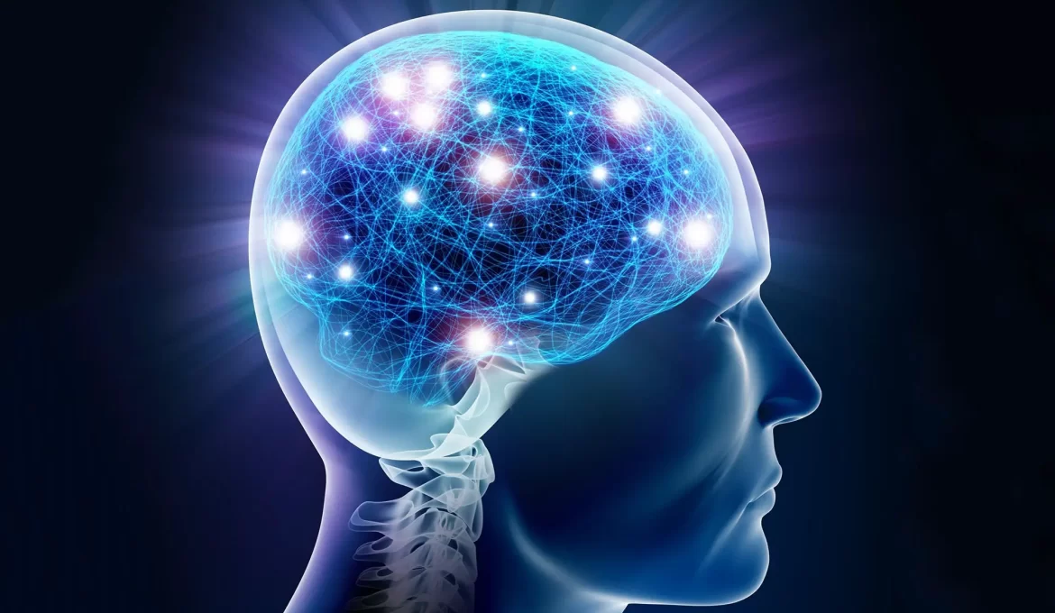 Il cervello spiegato: 6 termini scientifici demistificati