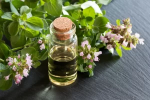 Olio di origano - proprietà antiossidanti, antimicotiche e antinfiammatorie.