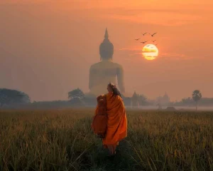 Le Quattro Nobili Verità e il Dharma: comprendere la sofferenza