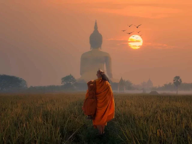 Le Quattro Nobili Verità e il Dharma: comprendere la sofferenza